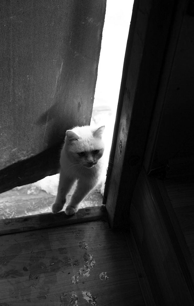 Photograph by Юрий Варюхин