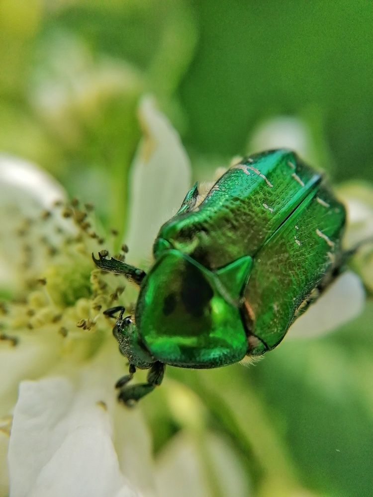 Photograph by Анастасия