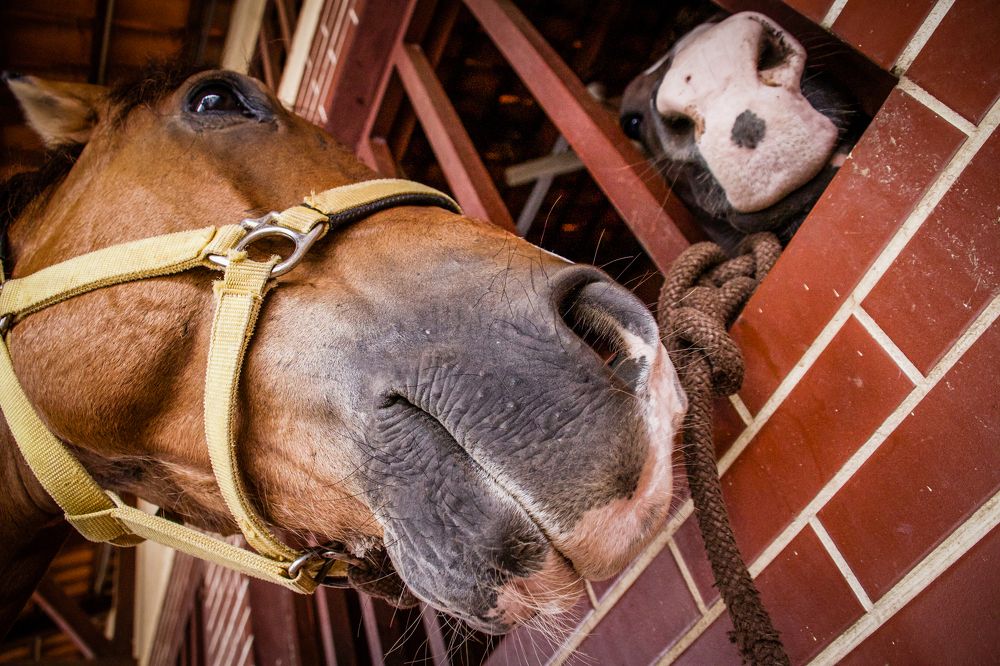 Photograph by Светлана Епифановских