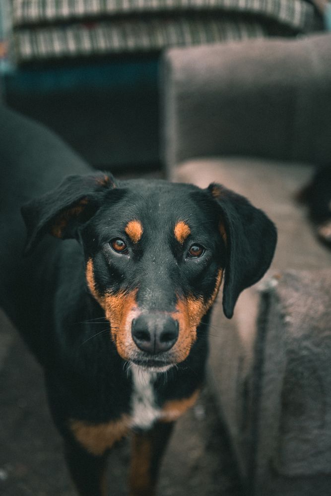 Photograph by Mariq Georgieva