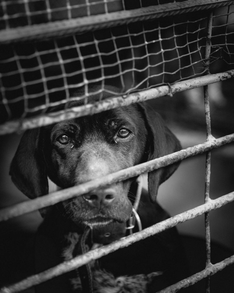 Photograph by Mariq Georgieva