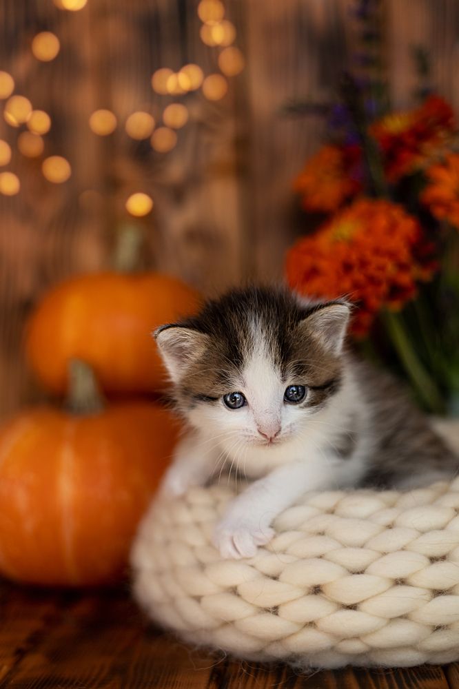 Photograph by Филатова Елена