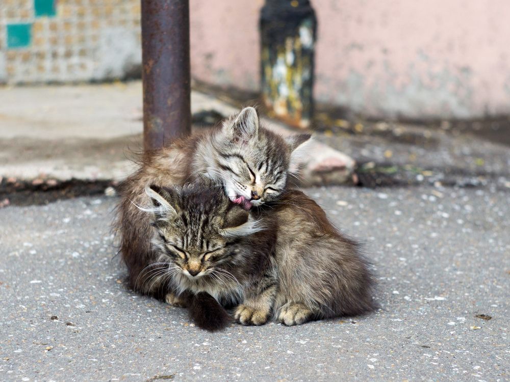 Photograph by Dina Abubakirova