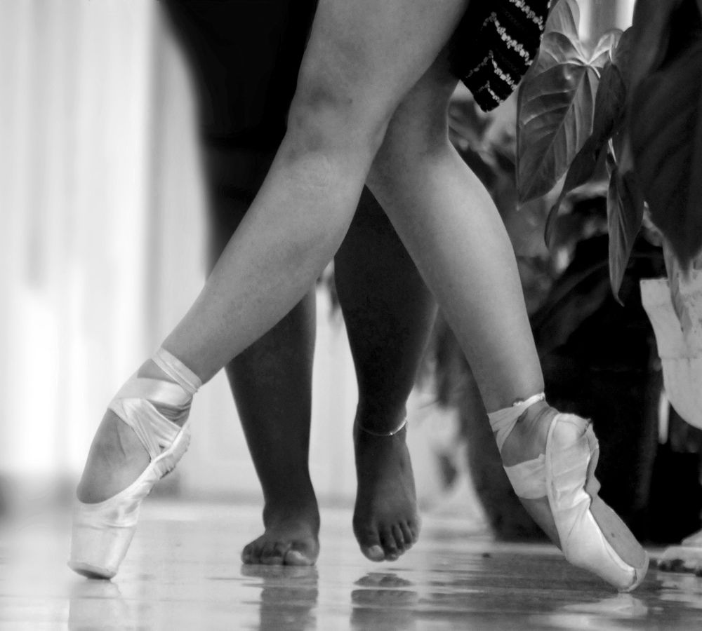 El vuelo de la Mariposa/Cuba 2022