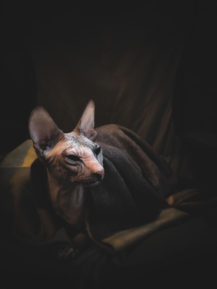 Photograph by Дарья Григорьева