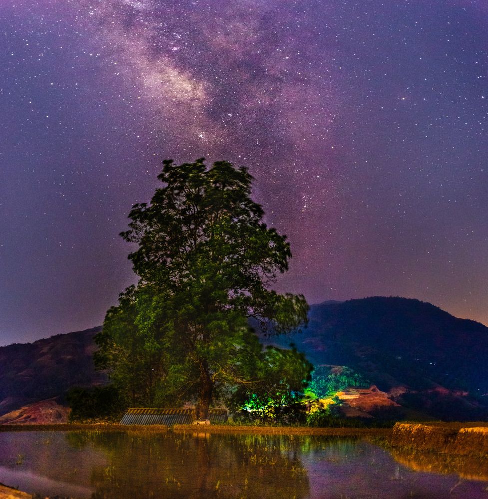 Фотография автора Trần Minh Thìn