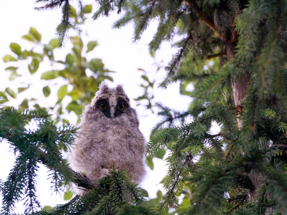 Photograph by Dina Abubakirova