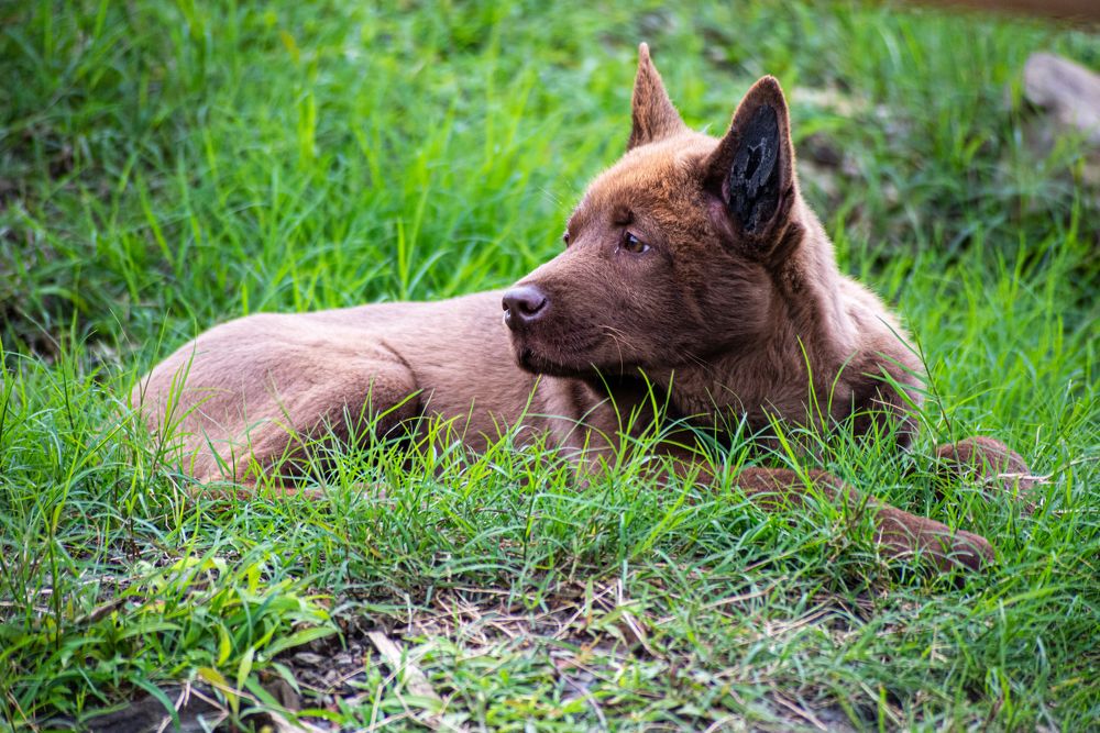 Фотография автора Trần Minh Thìn