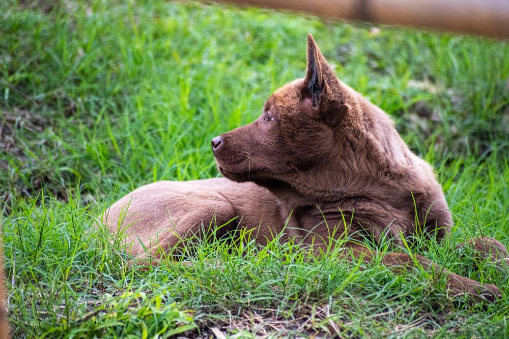 Фотография автора Trần Minh Thìn