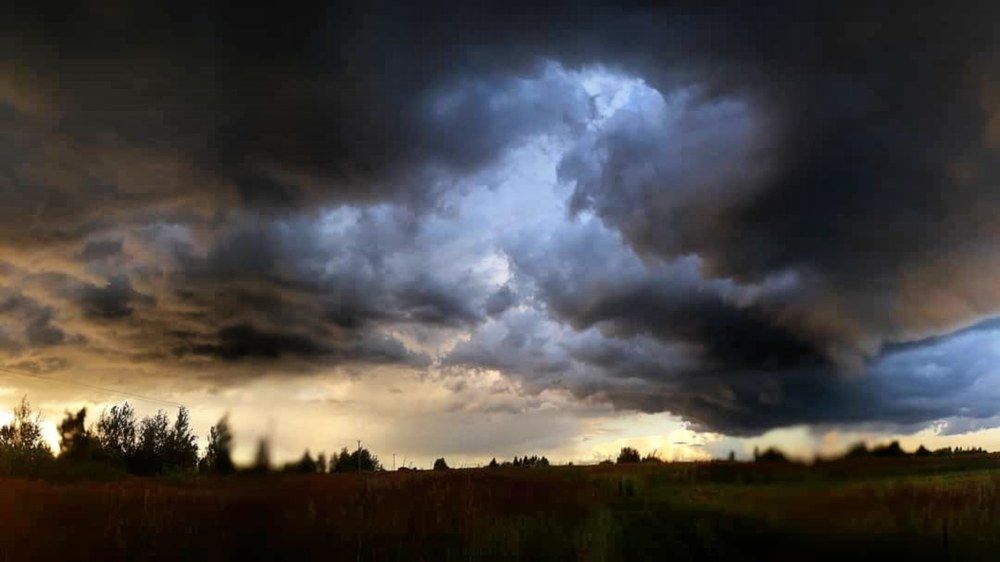 Photograph by Elena Lukashina
