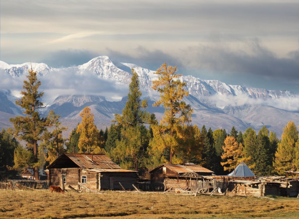 Photograph by Галина Хвостенко