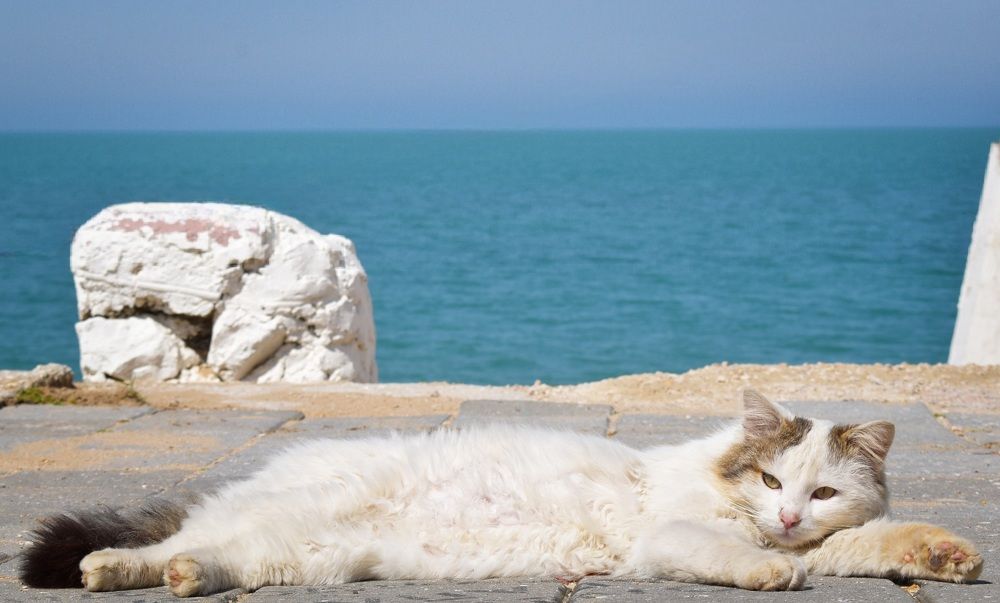 Photograph by Екатерина Гордеева