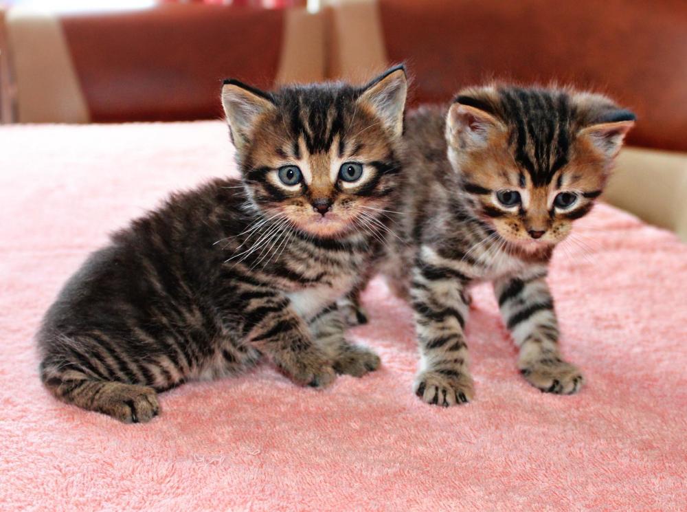 Photograph by Валентина Ильиных