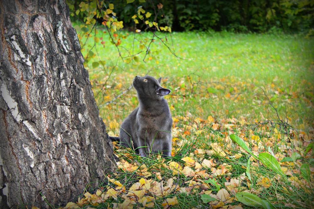 Photograph by Валентина Ильиных