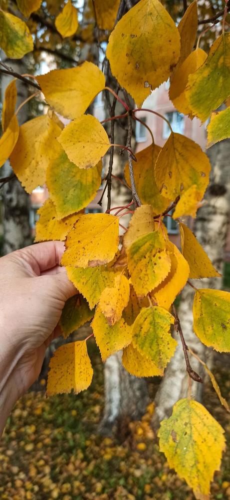 Photograph by Валентина Ильиных