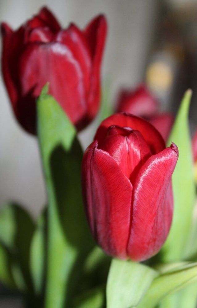 Photograph by Валентина Ильиных