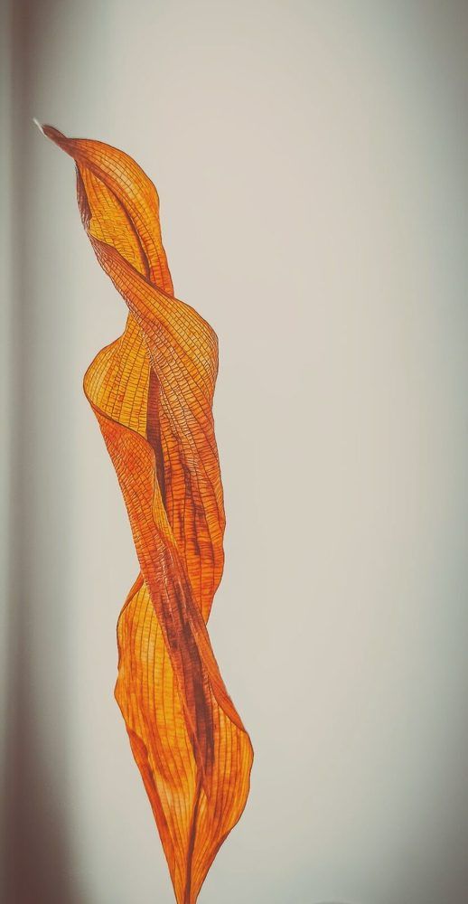 Photograph by Валентина Ильиных