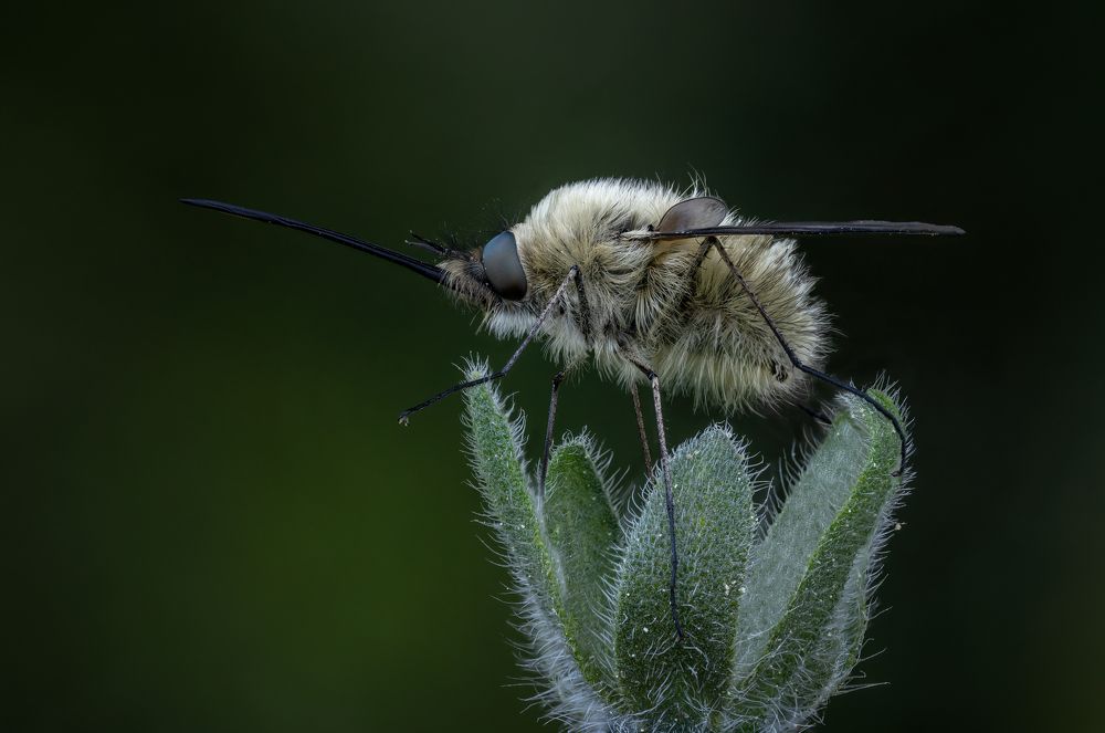 Photograph by Andrey Ostapenko