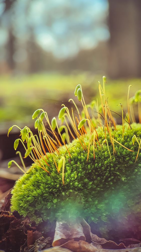 Photograph by Кристина Дугина