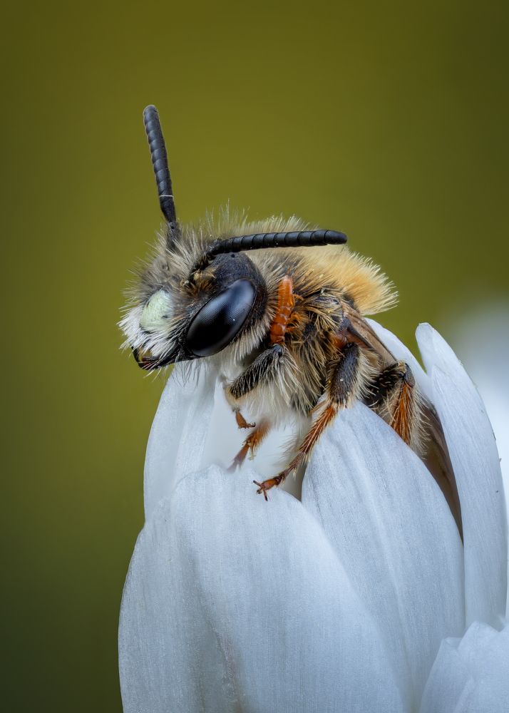 Photograph by Andrey Ostapenko