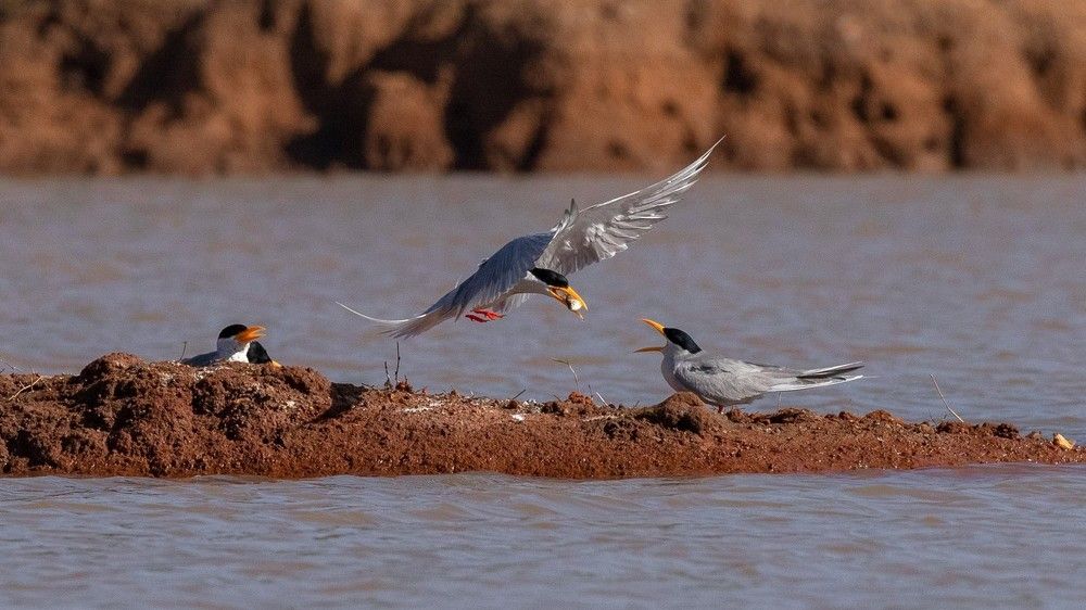 Photograph by DEVARAJASETTY S KIKKERI