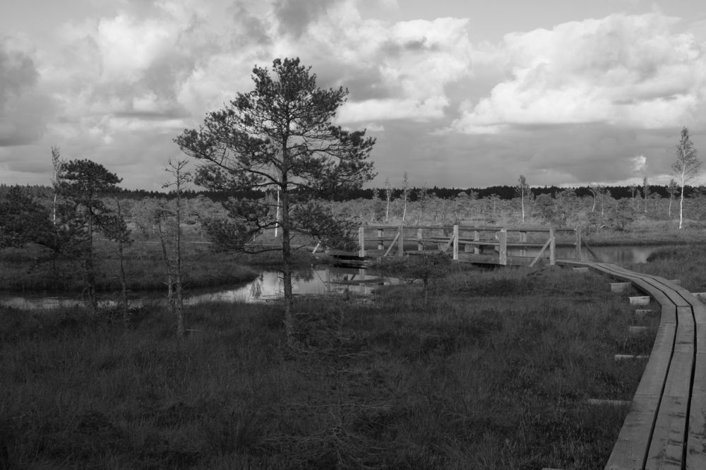 Photograph by Viktors Giršsons