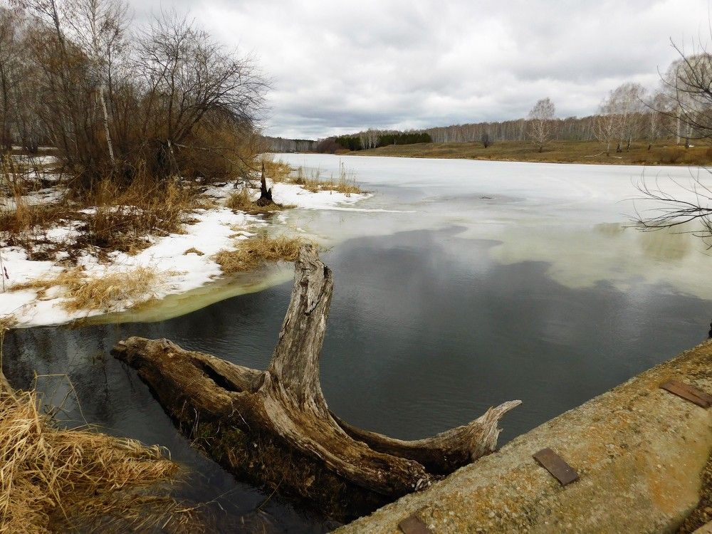 Photograph by Чкареули Светлана