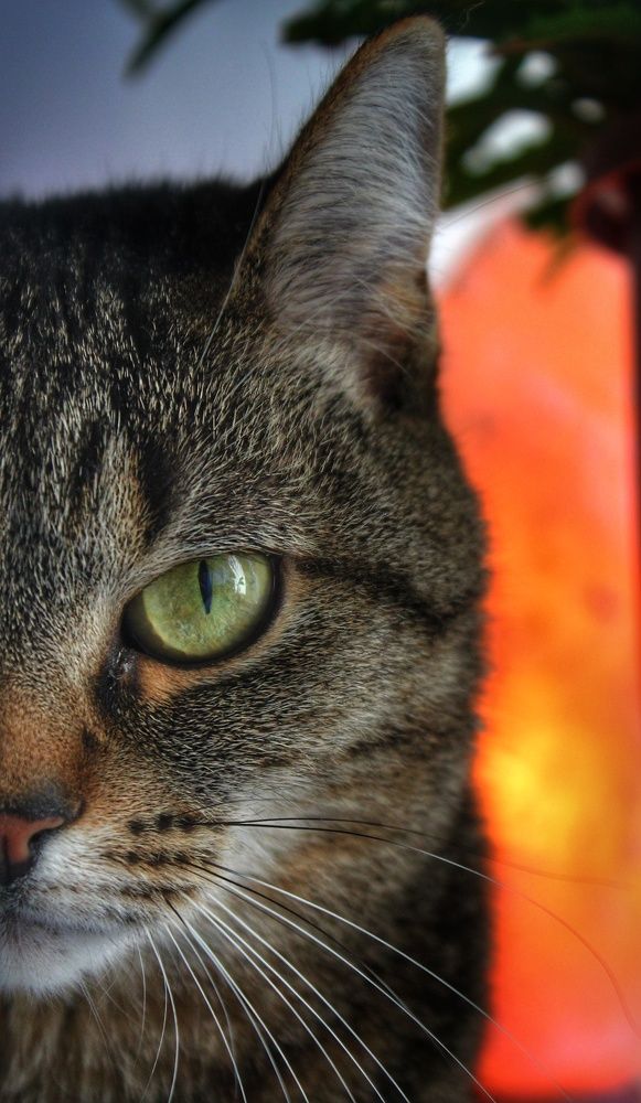 Photograph by Иван Крылов