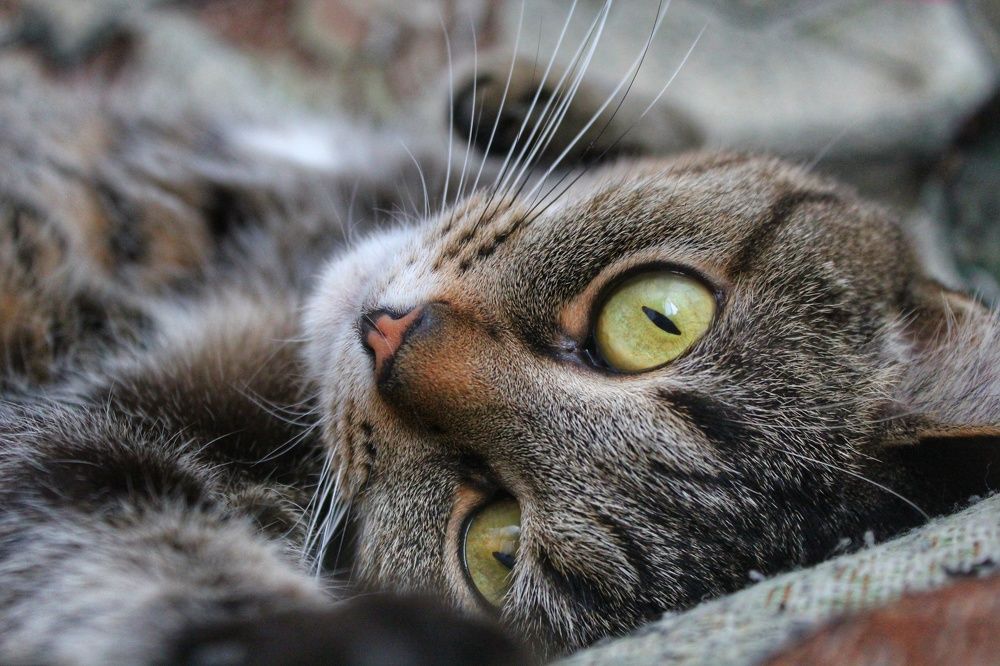 Photograph by Иван Крылов