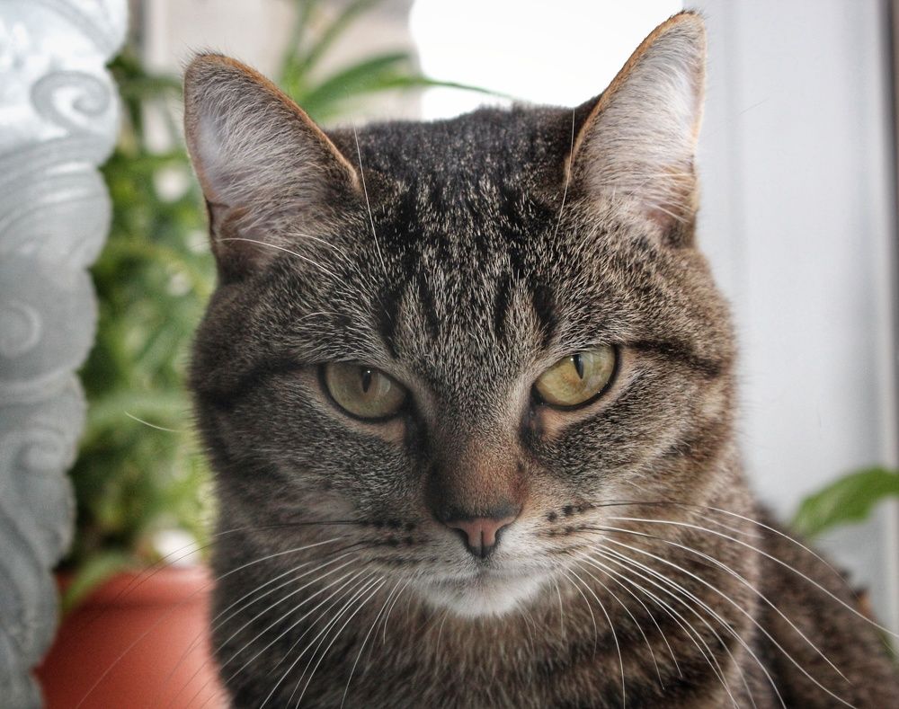 Photograph by Иван Крылов