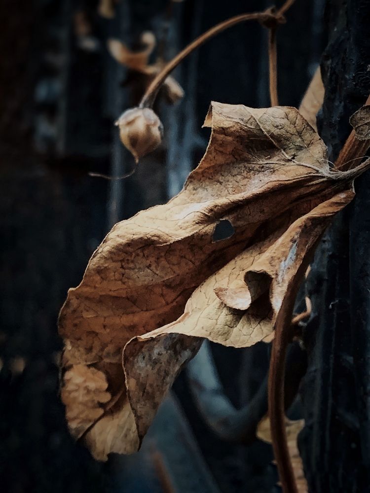 Photograph by Ирина Тимонина