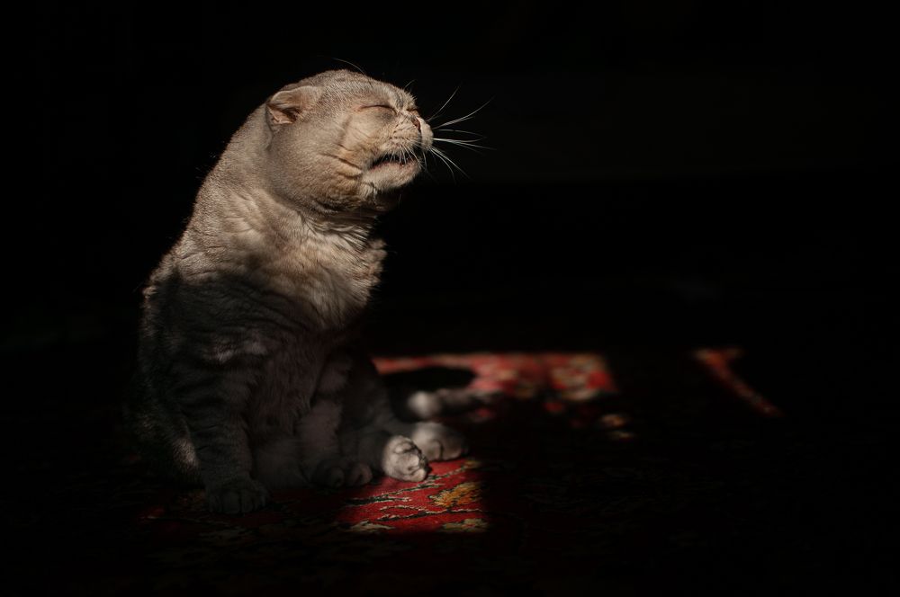 Photograph by Зубехина Татьяна