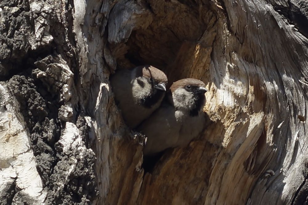 Photograph by Ольга Воронова