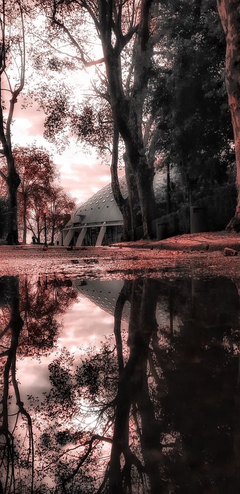 Photograph by Miguel Gonçalves