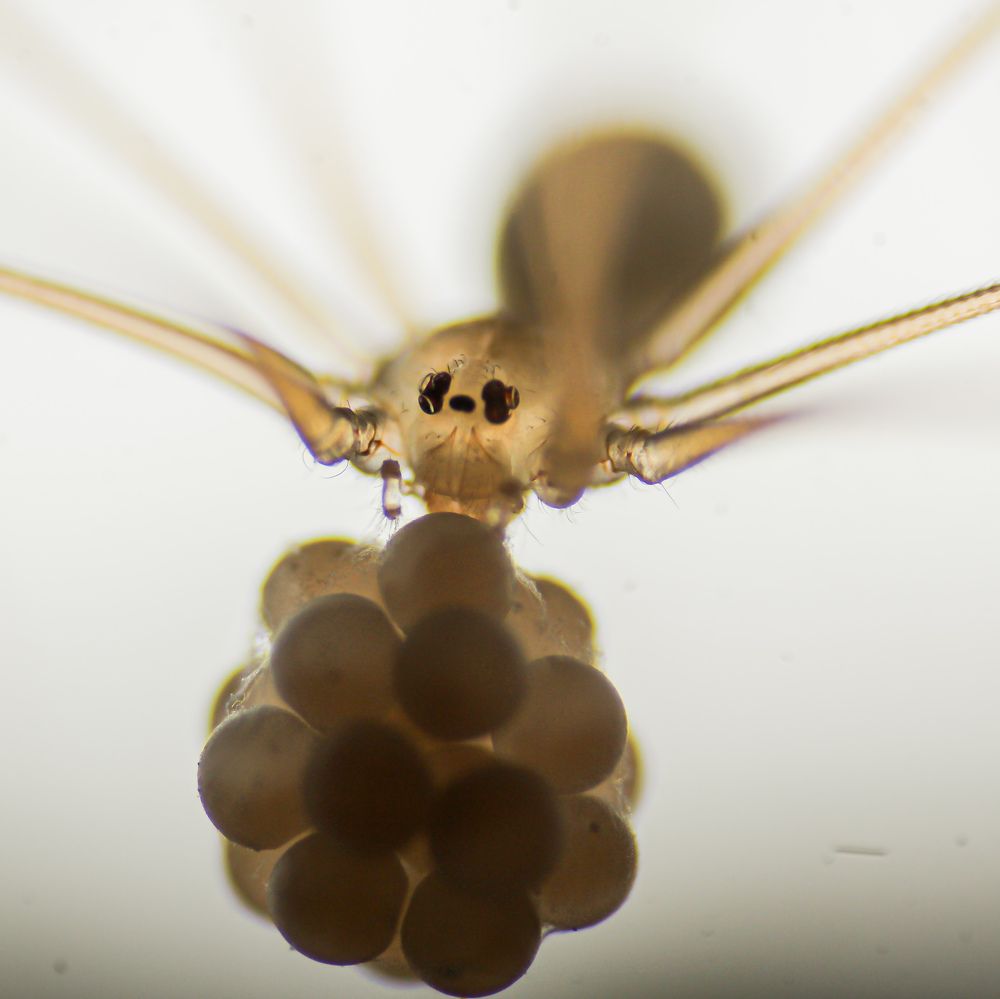 Photograph by Utsav Bhatt