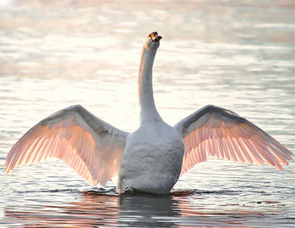 Photograph by Epp Tappel