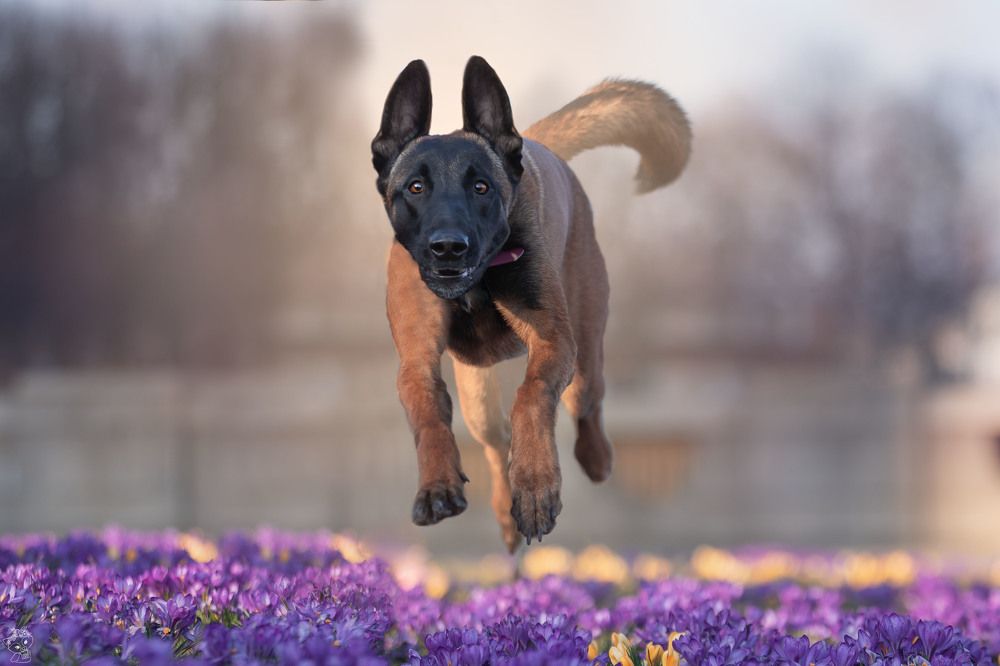 Photograph by Sadłakowska Karolina