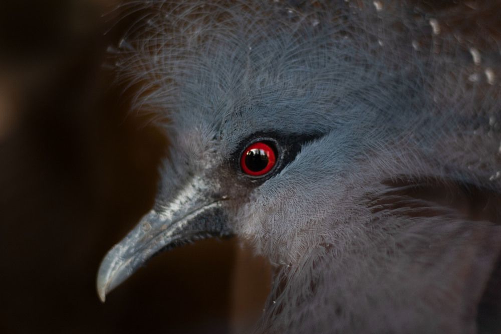 Photograph by Sadłakowska Karolina