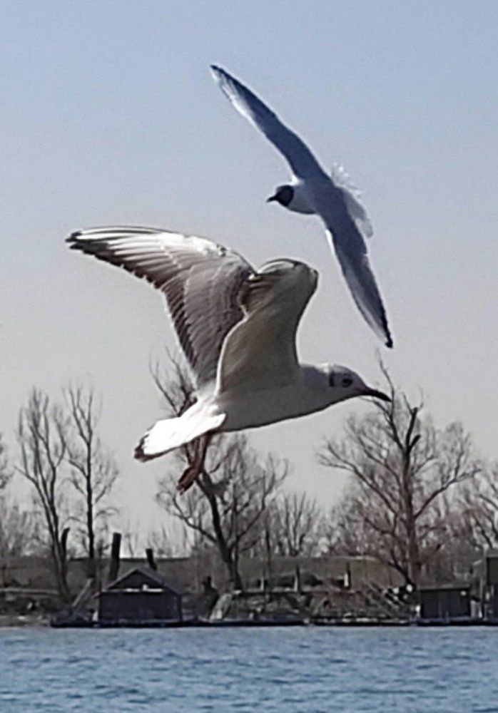 Photograph by Lidija Jevremovic