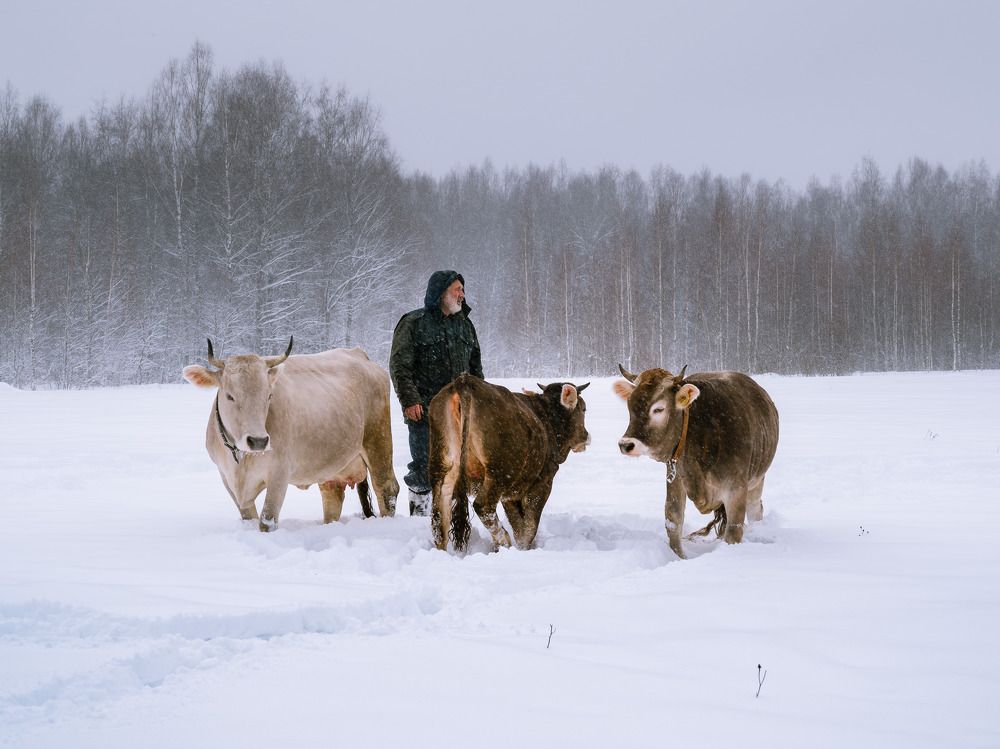 Дневной променад.