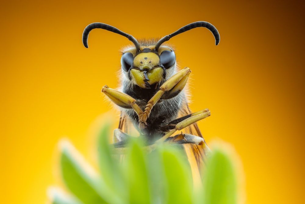 Photograph by Сергей Варыгин