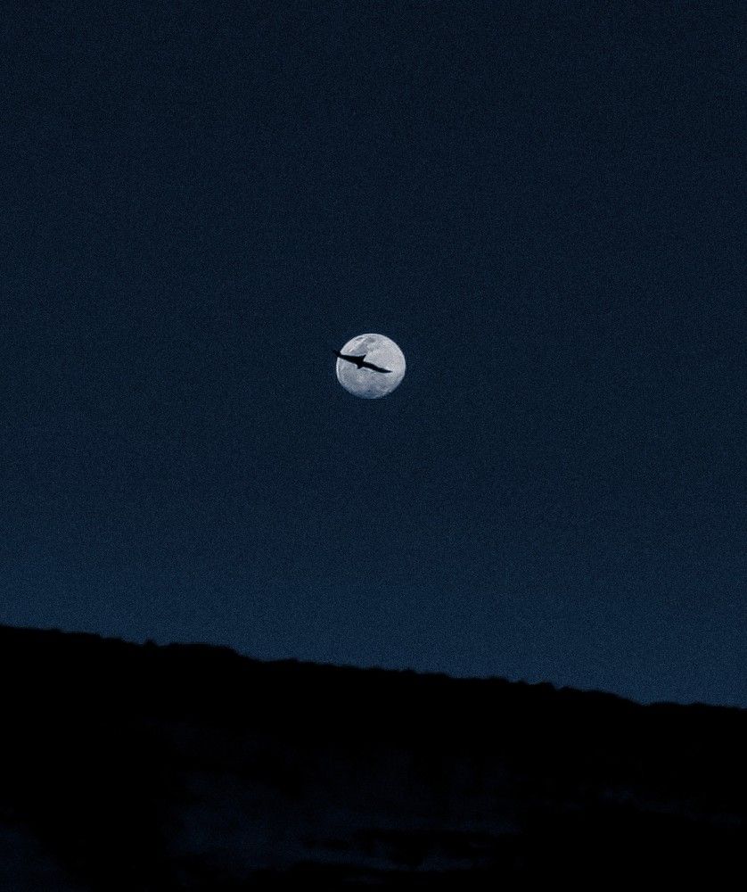 Photograph by Uzair Ahmed Memon