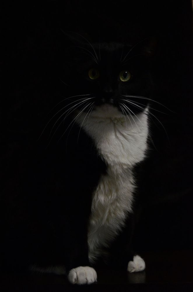 Фотография автора Вадим Писарев