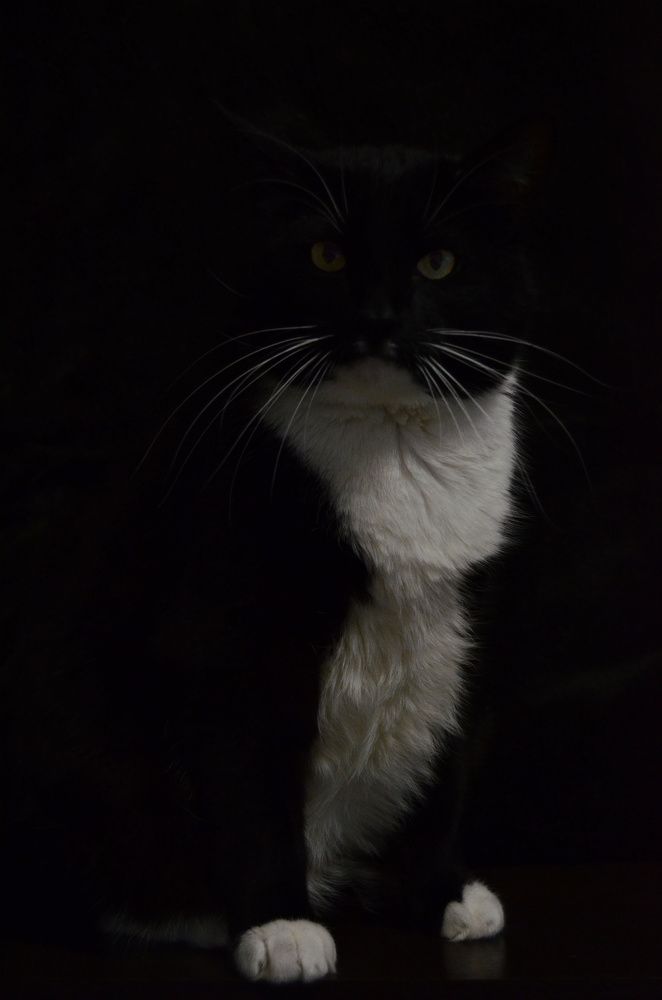 Фотография автора Вадим Писарев