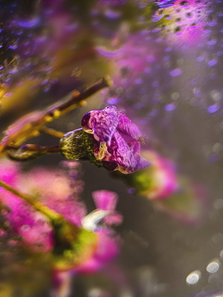 Photograph by Ольга Дорошенко