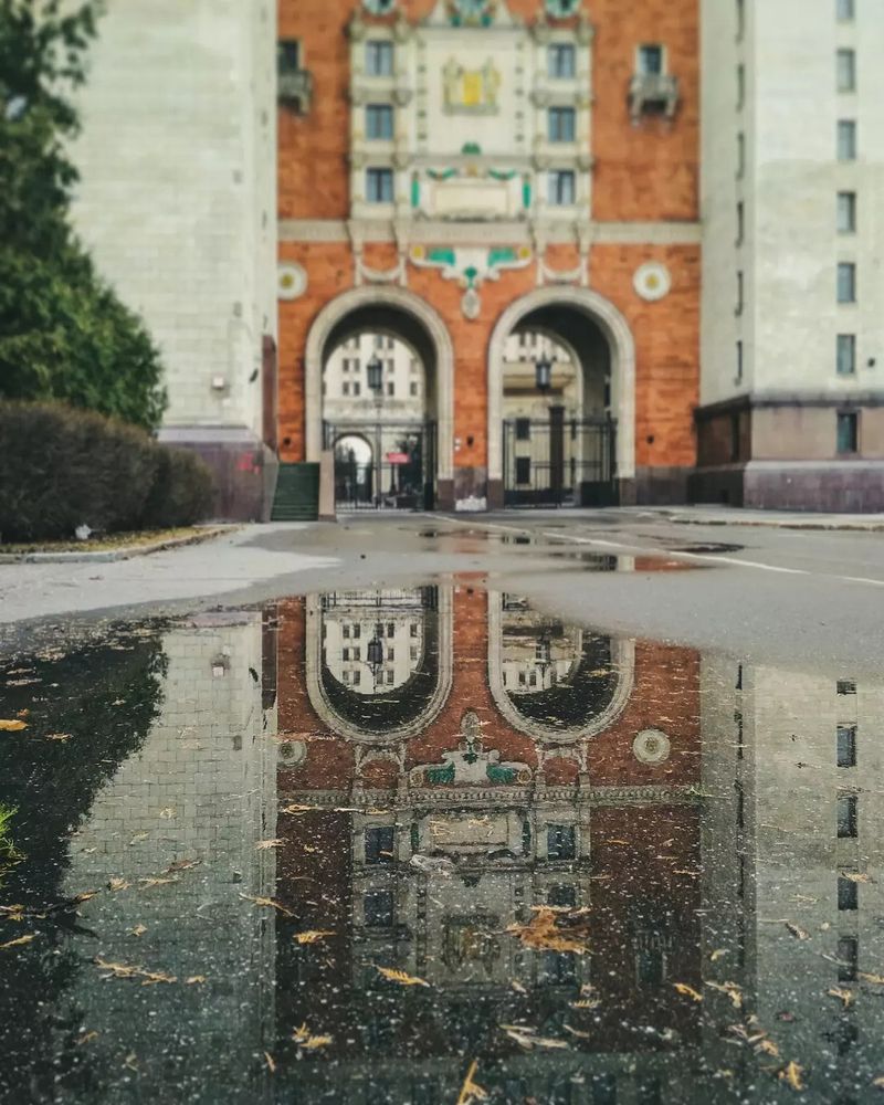 Photograph by Елена Щитова