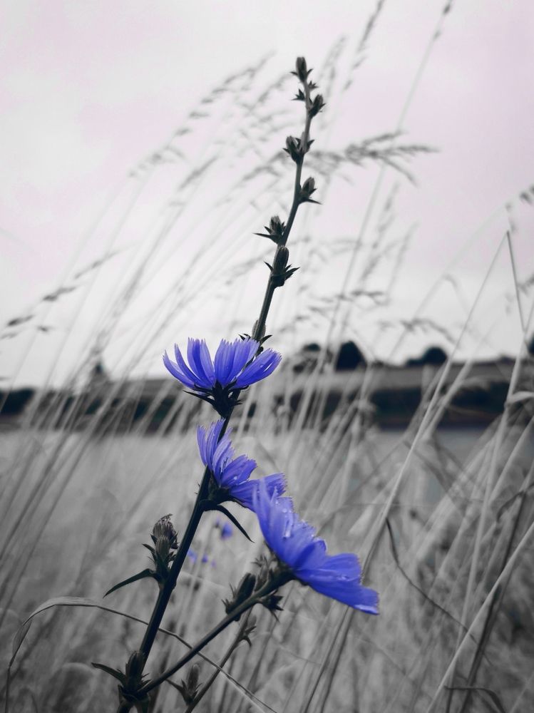 Photograph by Наталия Питолина