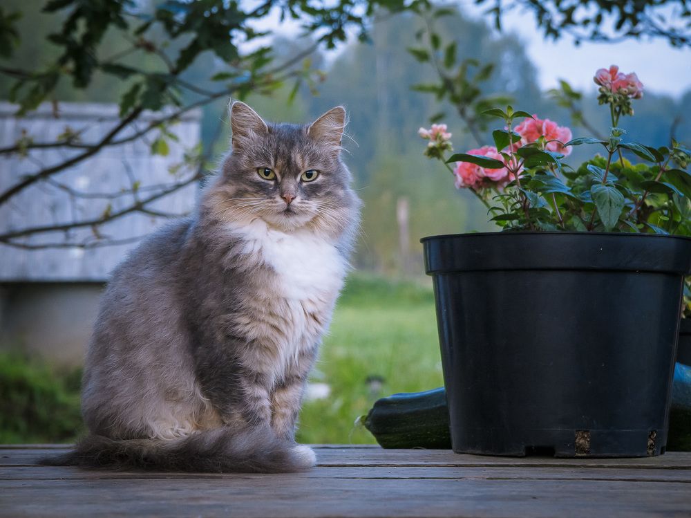 Photograph by Олег Бабурин