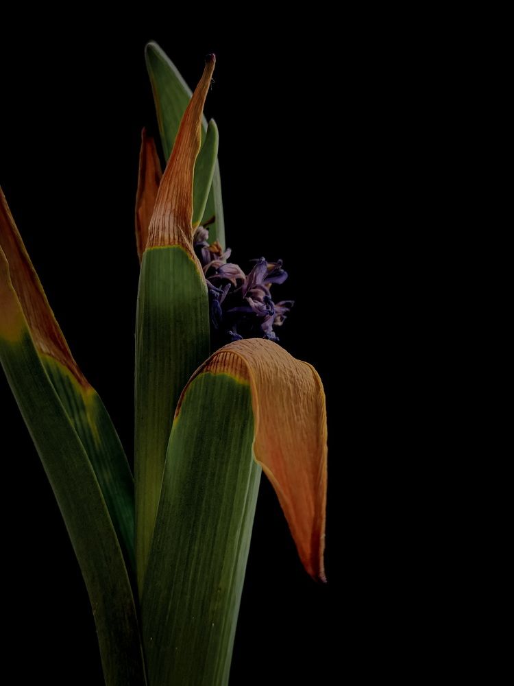 Photograph by Оксана