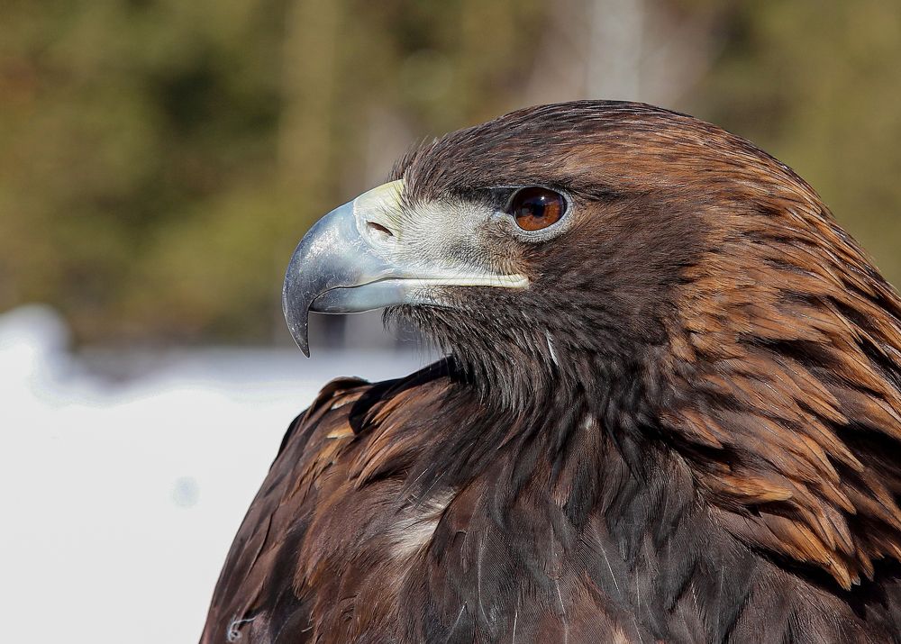 Photograph by Александр Литвиненко